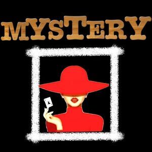 | 10 | Piece Mystery Box Gently Used Clothing